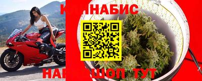 прущие крисы Северобайкальск
